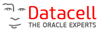Datacell Consult – Systems Expert